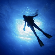 gtdivers-small
